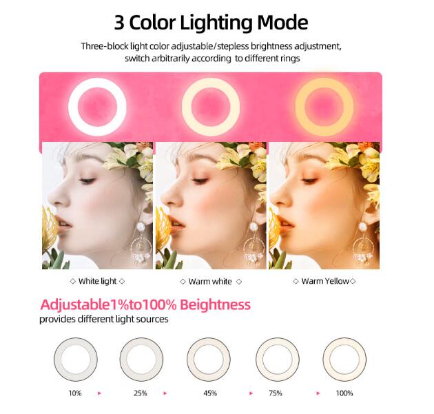 10-Inch Fill Light RGB Live Light Desktop Stand Selfie Ring Light Led Seven-Color Beauty Fill Light